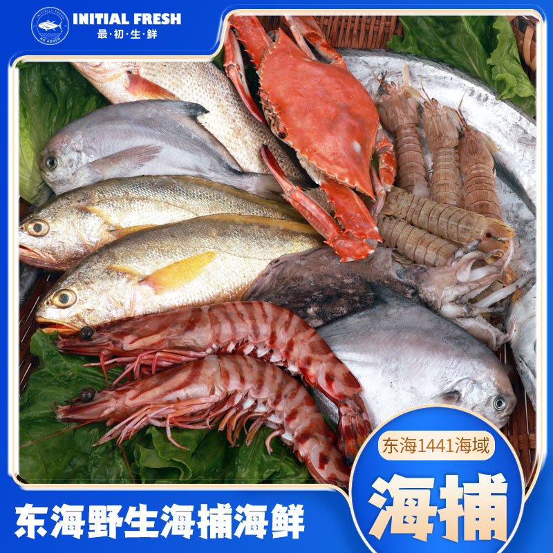 【现场1】正宗东海野生海捕海鲜黄鱼新鲜速冻