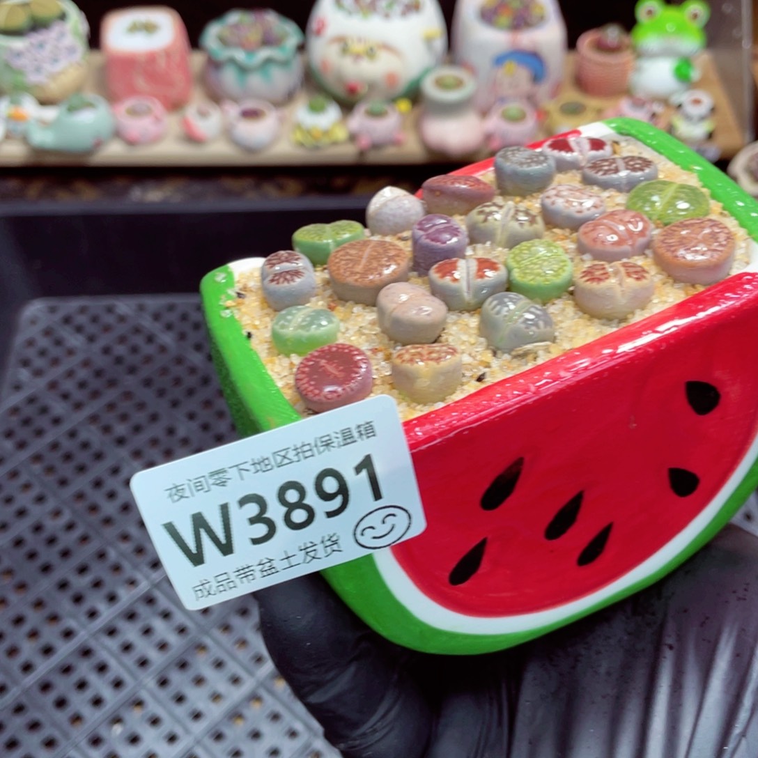 夜间零下地区拍保温箱w3891