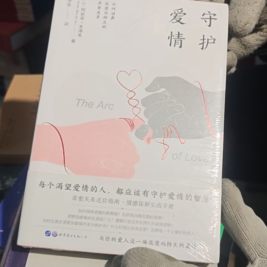 守护爱情平装库存书全新