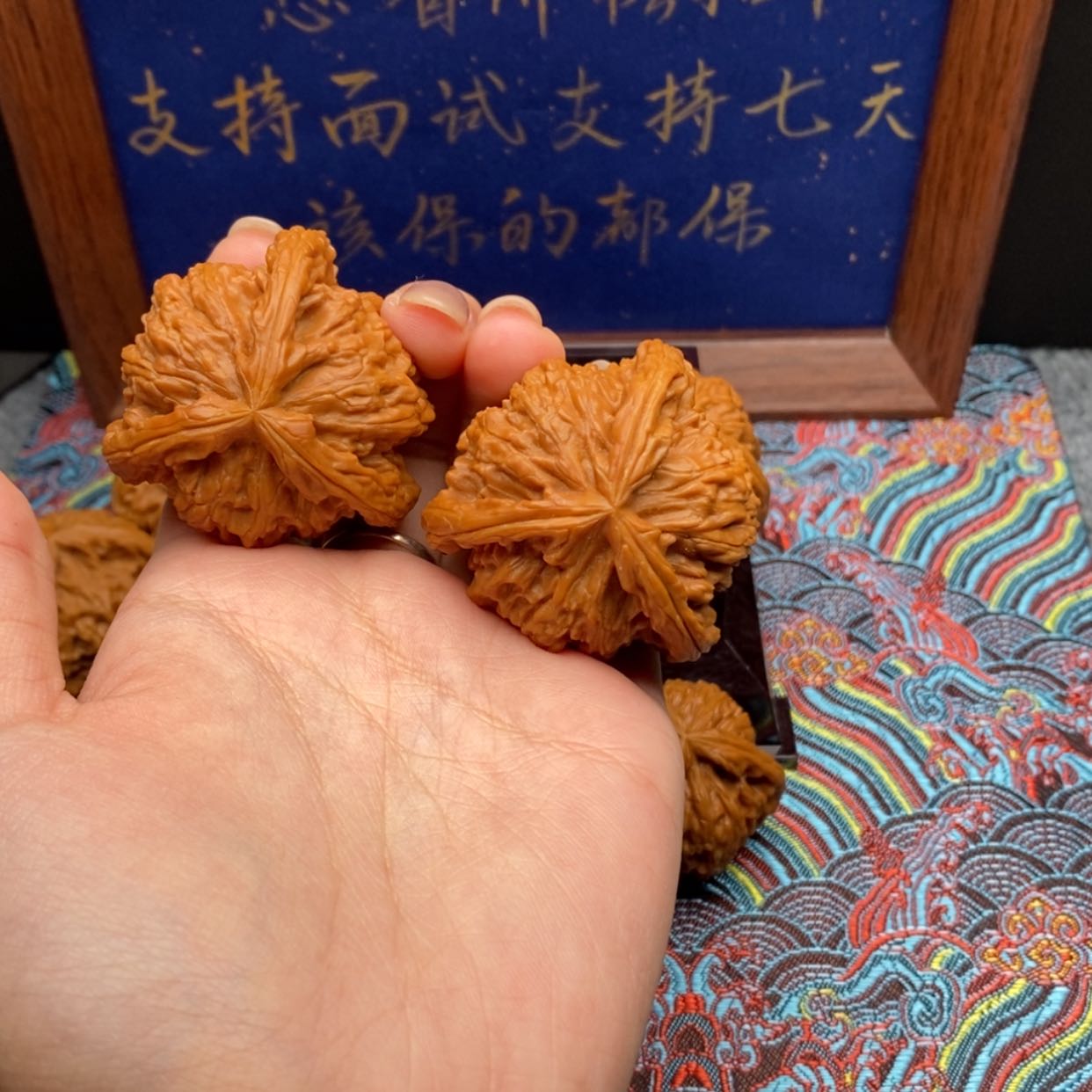 【闪购商品】命*白狮