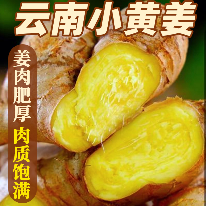 云南小黄姜姜味浓郁辛辣十足产地现挖现发嫩姜偏老姜