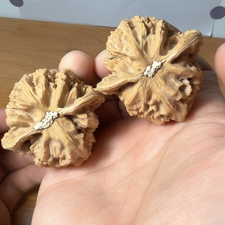 文玩核桃把件花**红帝王48