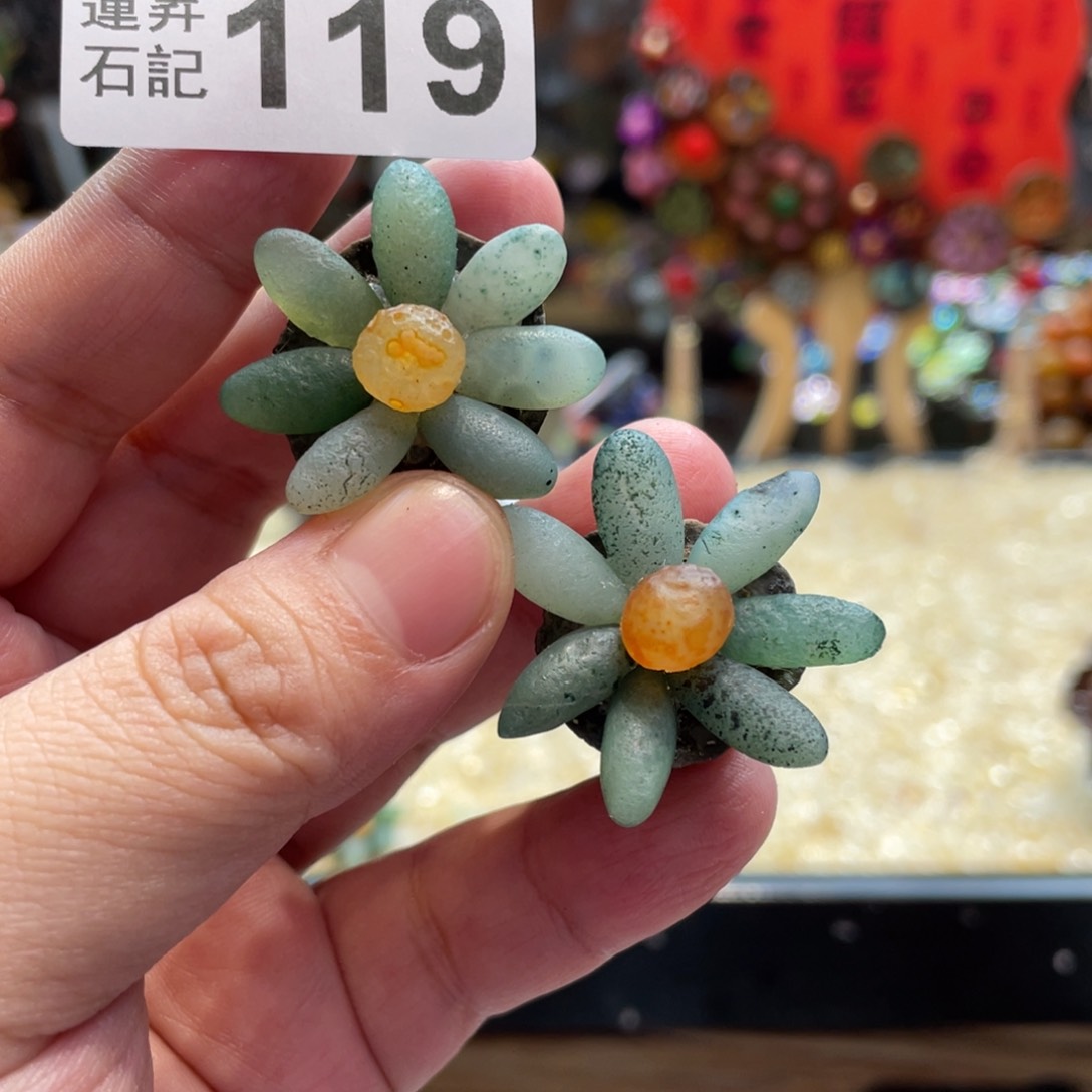 核桃木/黑胡桃（胡桃木）冰*梦119