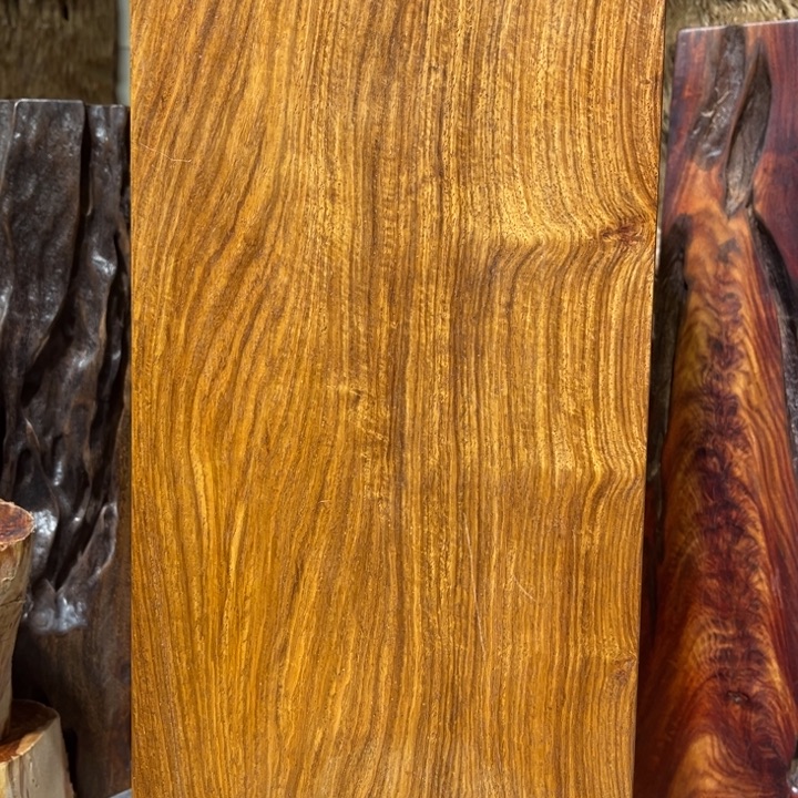 一***云香榧木刺猬木木木木木木