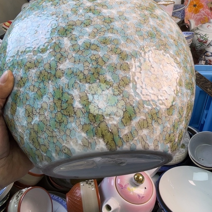 碟开播了开播了开播了