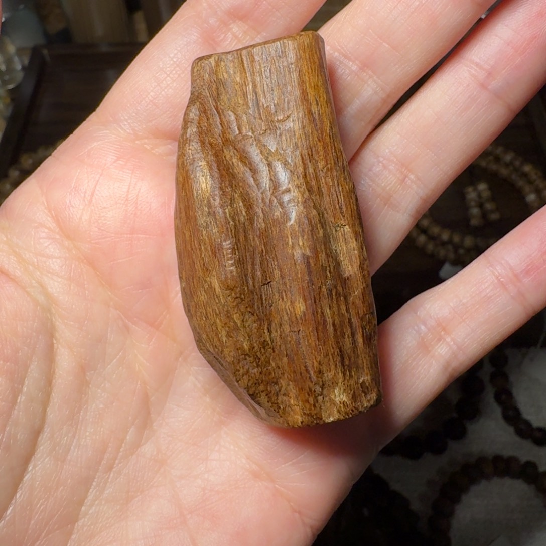 ****晓沉香碎屑沉香越南芽庄沉水级19.8克