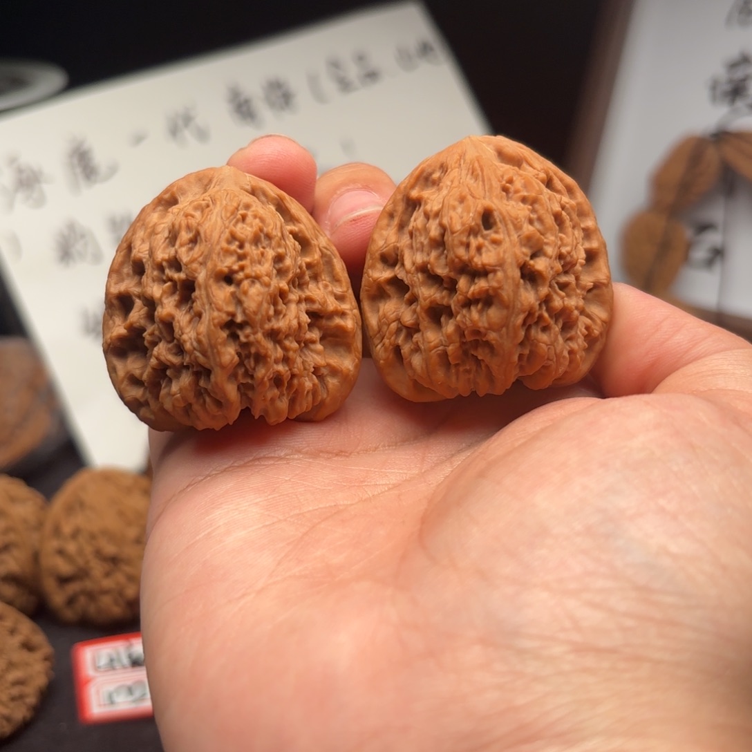 灬***灬核桃涿鹿南疆一代