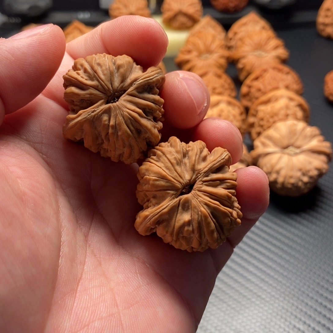 文玩核桃把件朱*臭汉高楼36尺