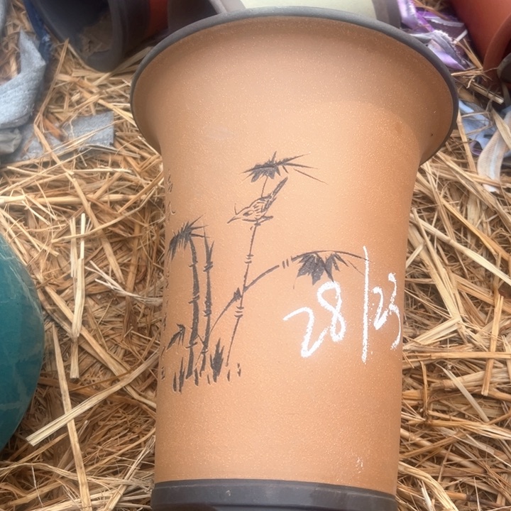 红陶紫砂兰花盆wei x