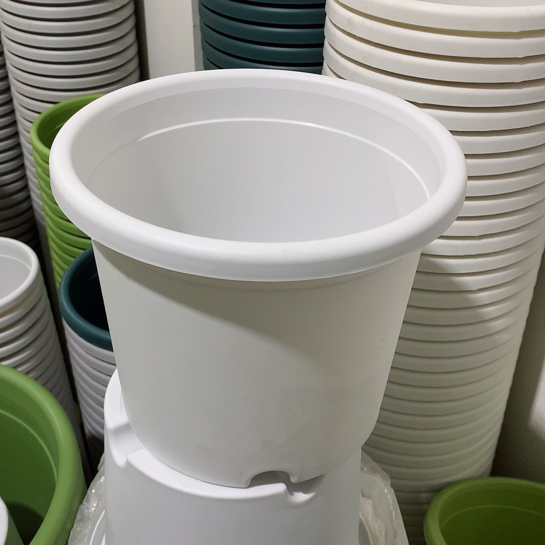 树脂四季口21白10个无托