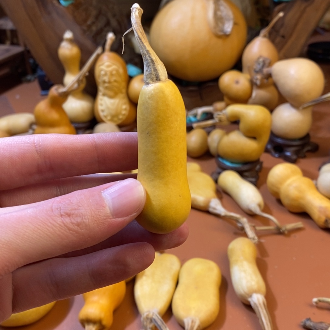 小***家教练教练教练教练经理