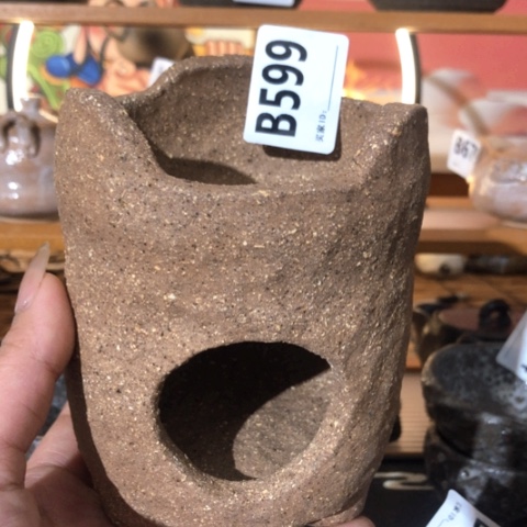 木有一点点的小姐姐