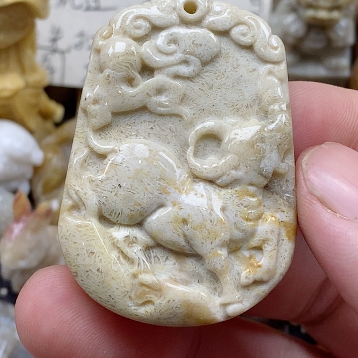 颈饰未镶嵌硅化珊瑚（珊瑚玉）有瑕