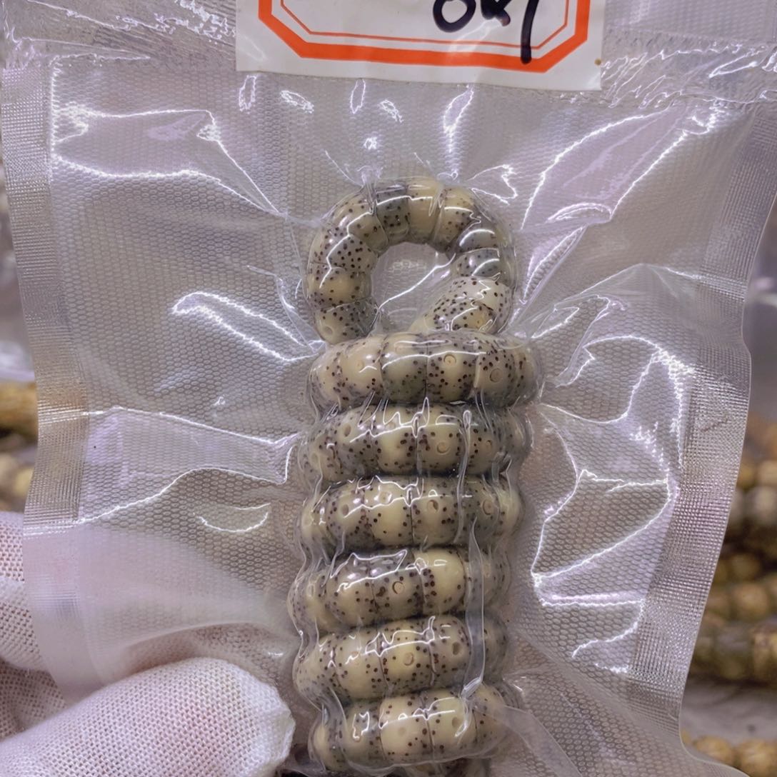 星月菩提手串999999999999