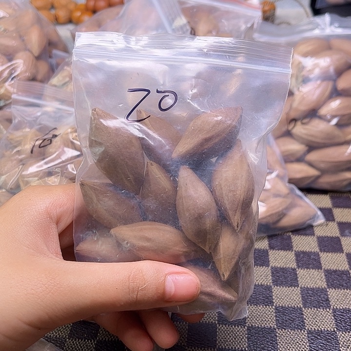 手串/手链橄榄核