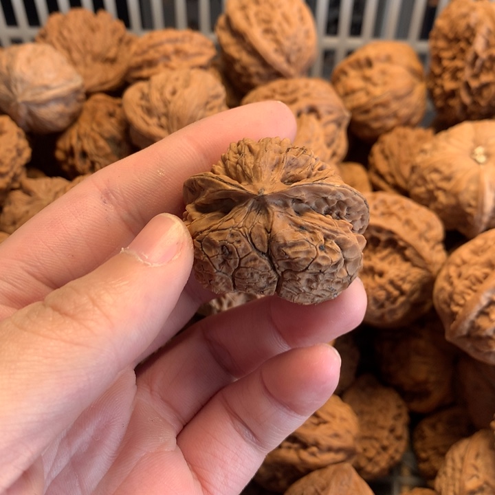 沧***提文玩核桃吊坠宫灯