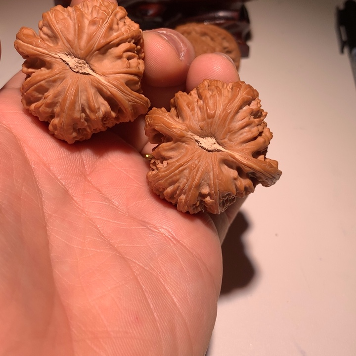 把件文玩核桃就****…白狮子