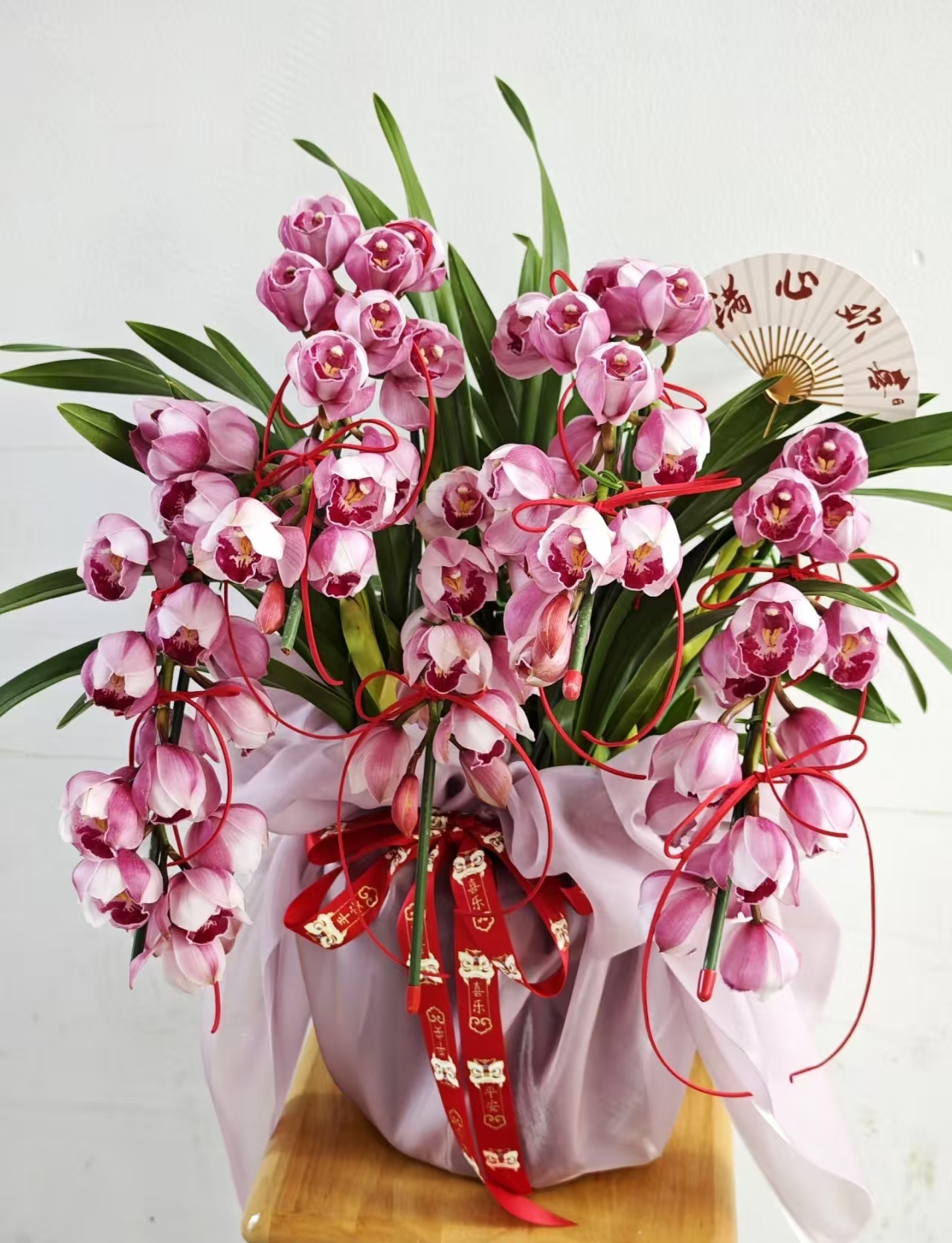 （大锤家的艳后拱兰）大花惠兰年宵花室内外好养易活大花兰花盆栽