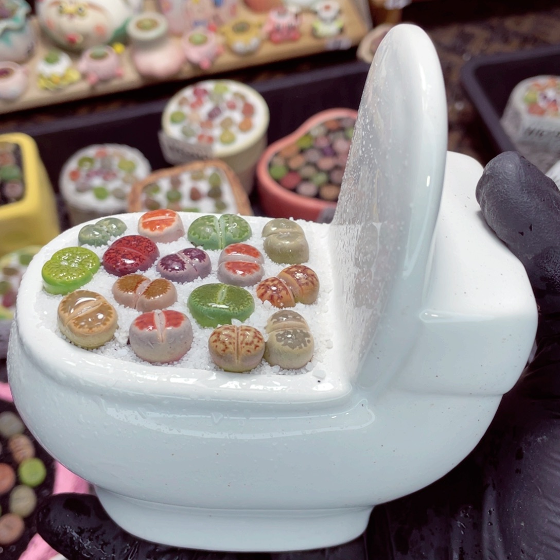 夜间零下地区拍保温箱w6226