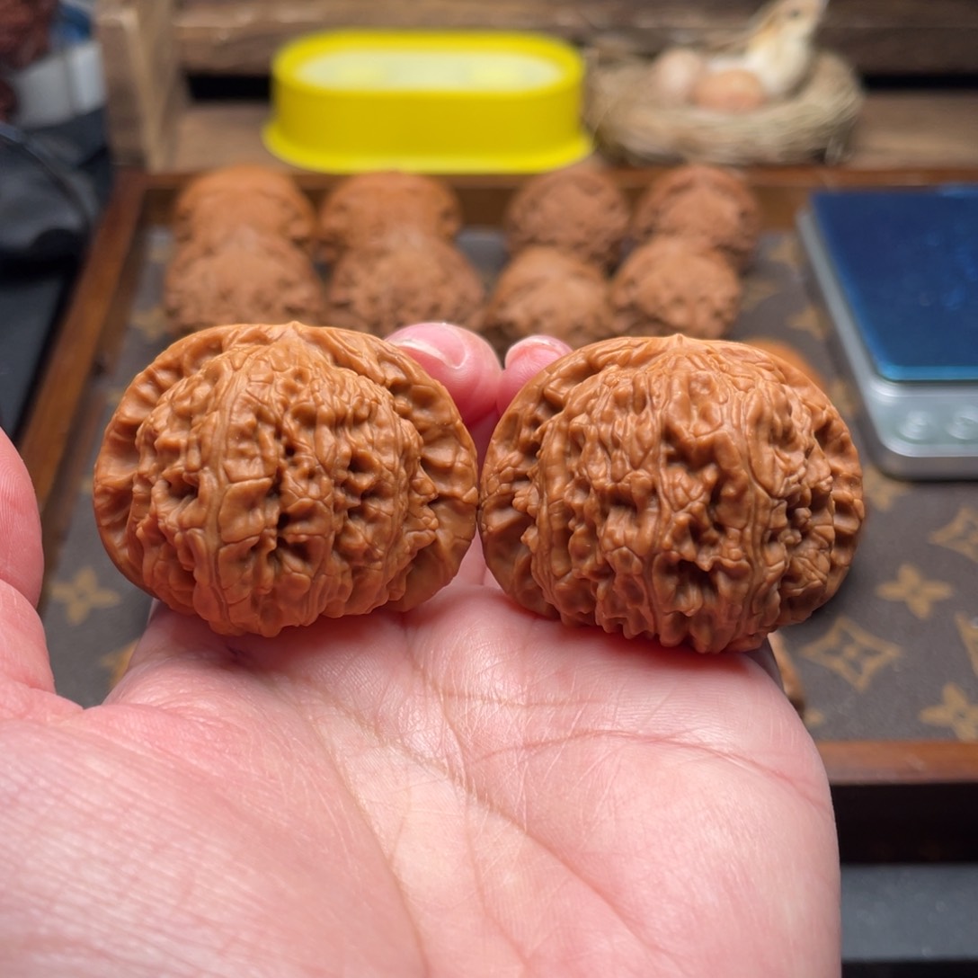 文玩核桃吊坠Z17白狮子42有修