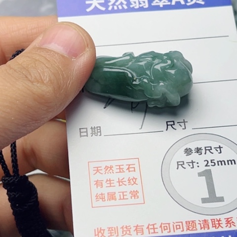 翡翠颈饰未镶嵌白菜