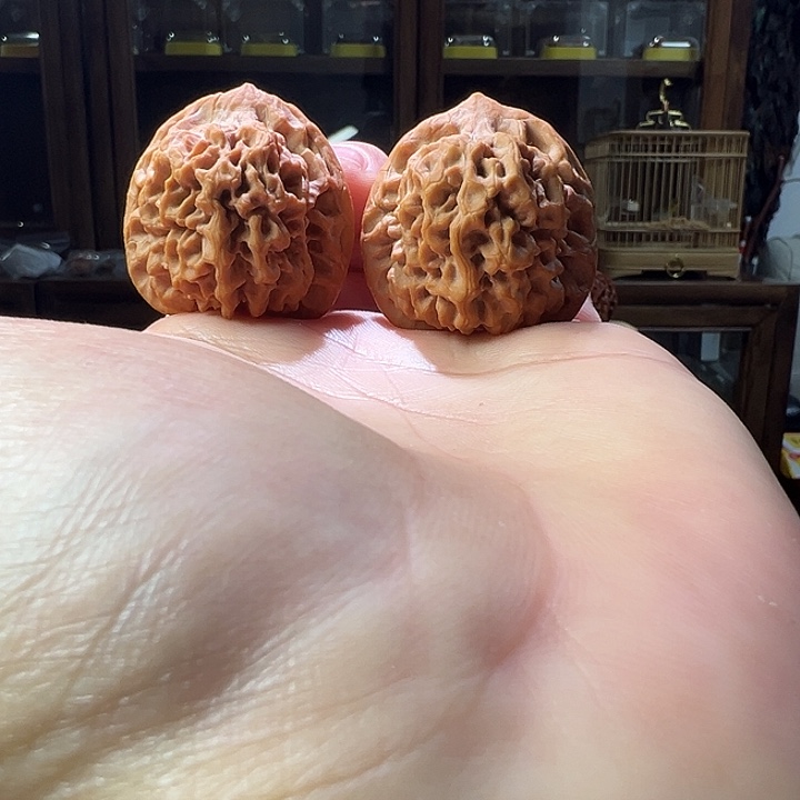桃核把件陕西宝鸡秦闷
