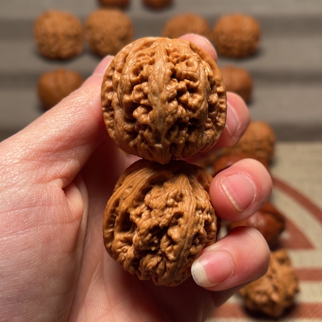 文玩核桃把件36平谷大粗筋