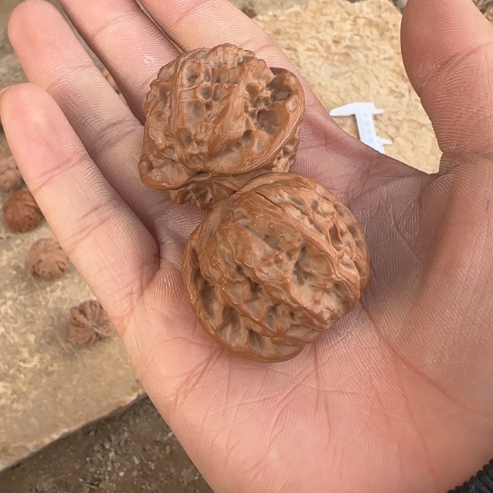 M***️把件文玩核桃野狼