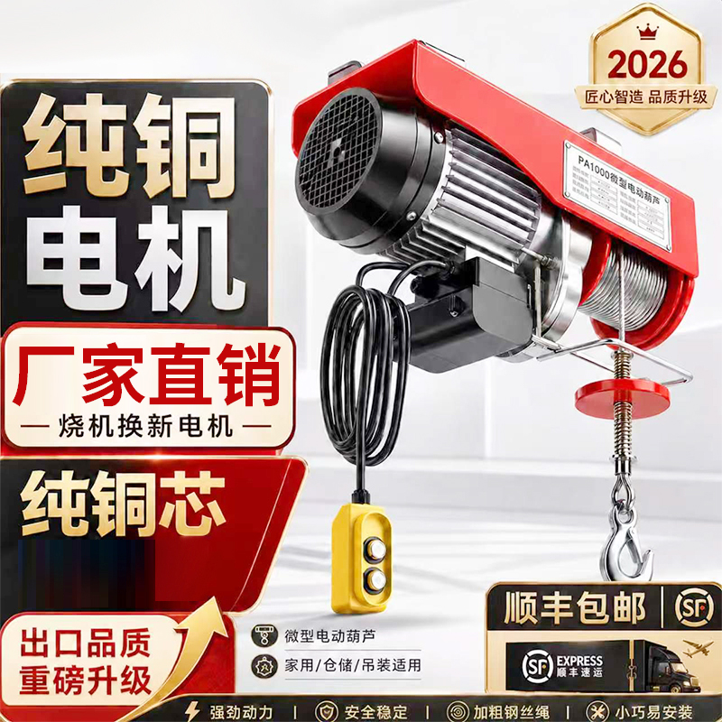 吊机家用小型升降机1/0.5吨微型电动葫芦220v提升机吊车起重机商品图