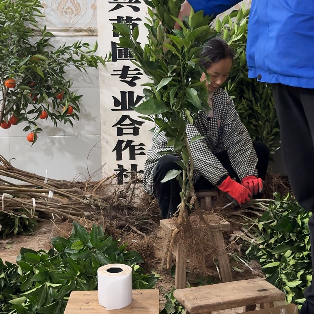 完全开放木木专拍链接