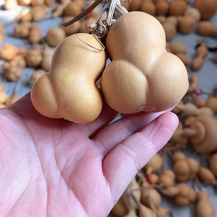 葫芦的颜色很漂亮