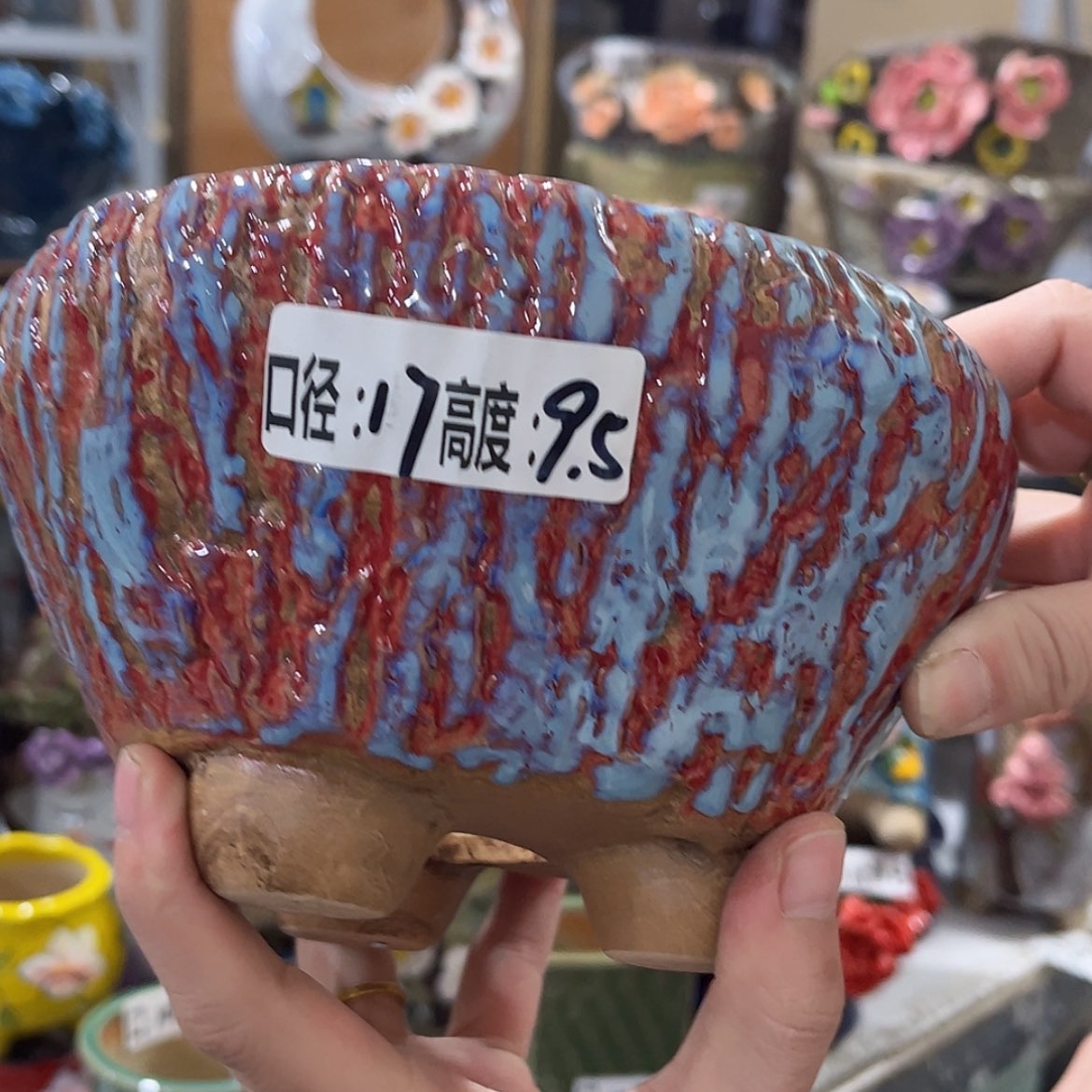 【闪购商品】红陶福利