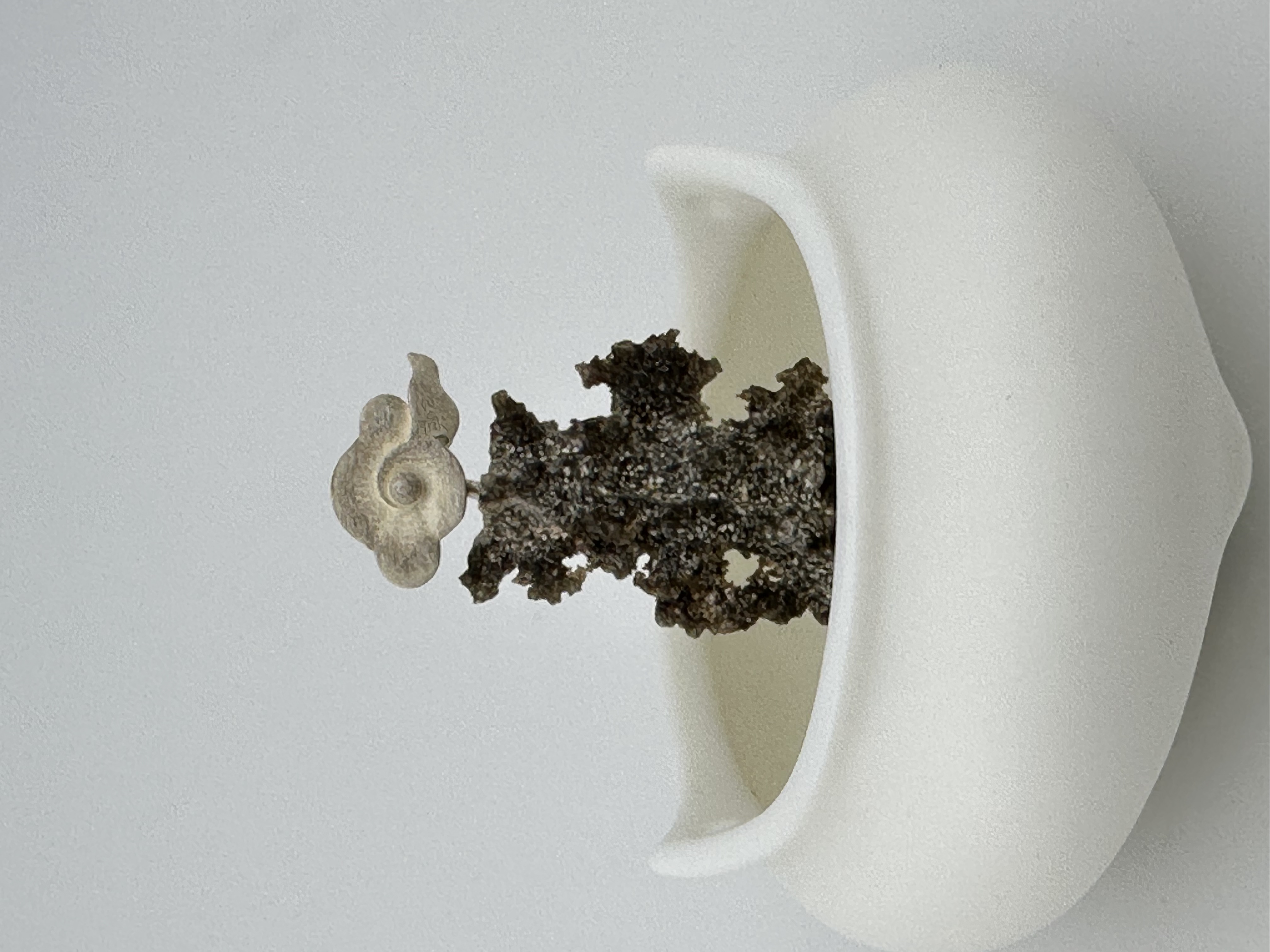 10号 雷击石 至刚至阳