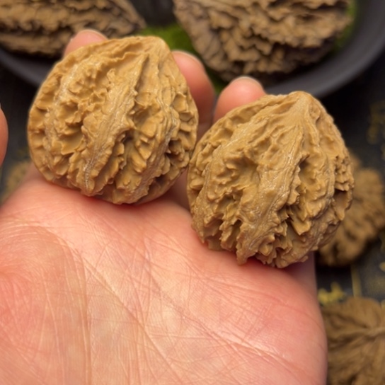 文玩核桃把件秦岭核桃25