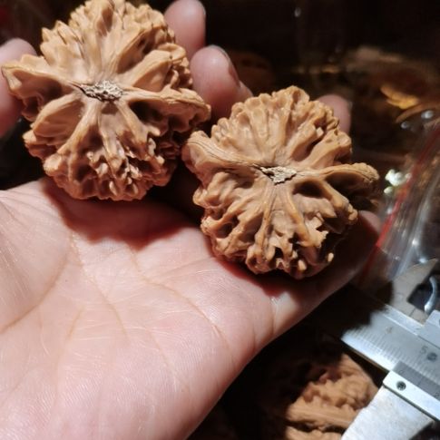 猴头核桃吊坠49练手对49帝王