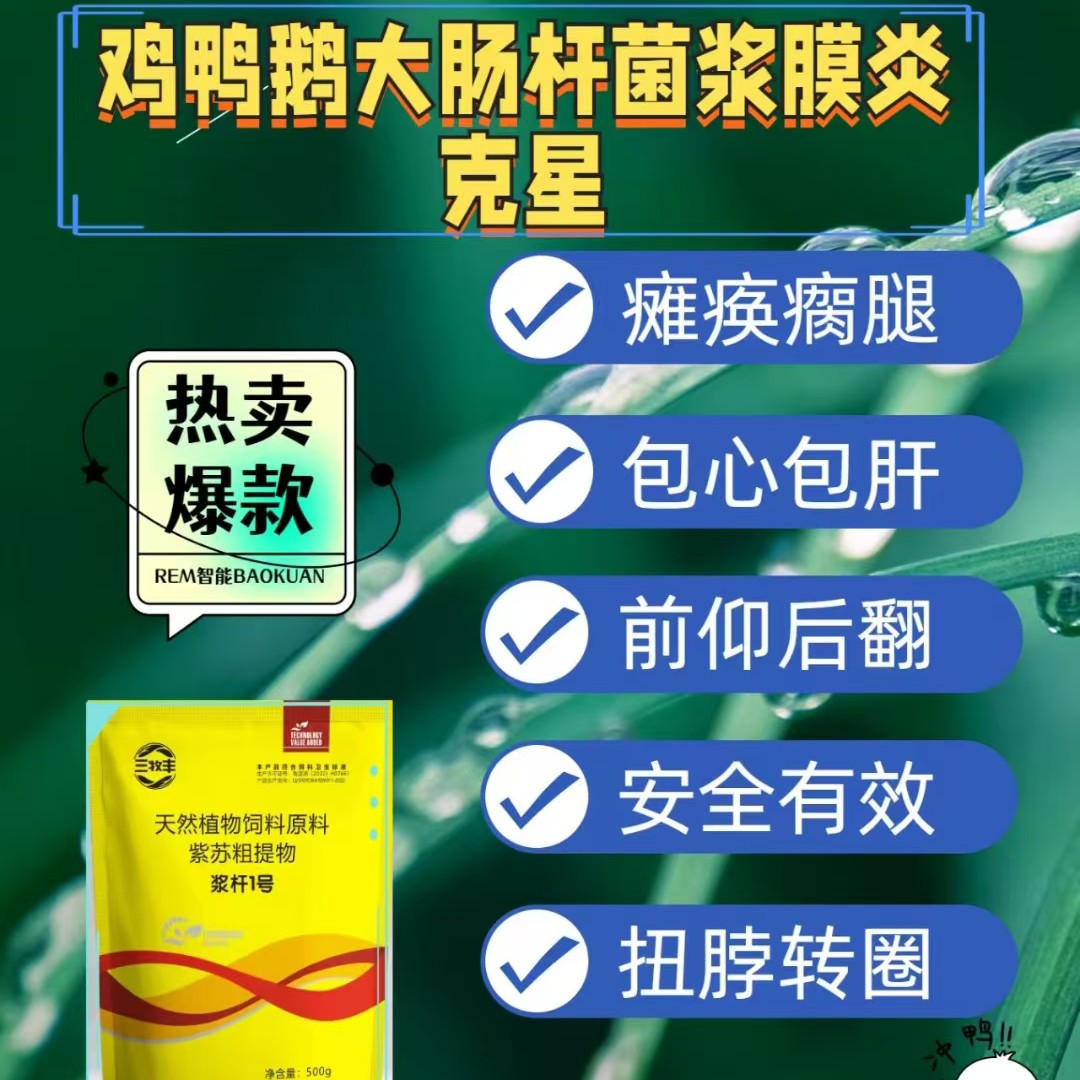浆杆1号腿软腿瘸包心包肝