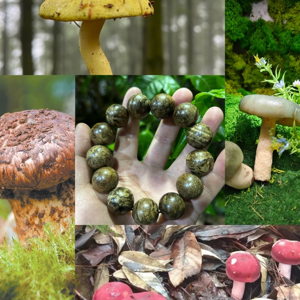 【土特产菇134】净含量54g