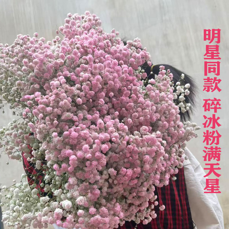 明星同款满天星头饰新鲜染色满天星鲜花花束新鲜发货摆放