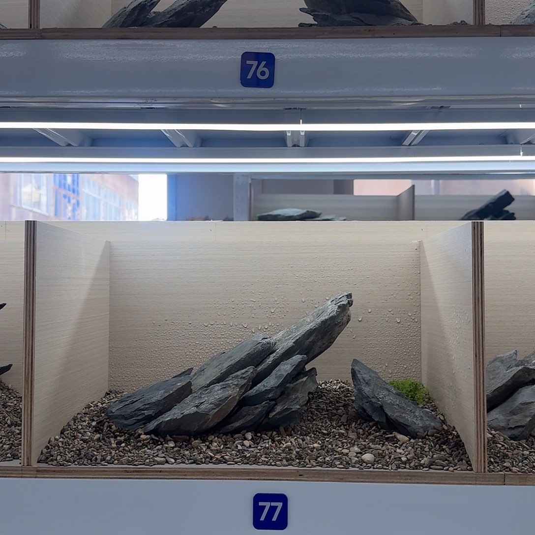 77号送底沙十斤送几块碎片岩