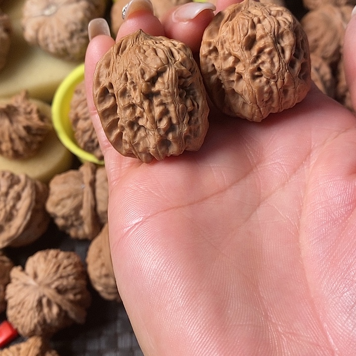 用****832西北将军棒无修无修