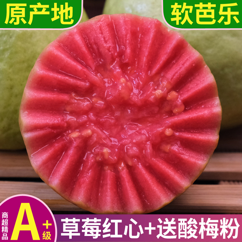 【草莓红心】正宗软香芭乐应季水果高维C新鲜摘广西番石榴3斤/5斤