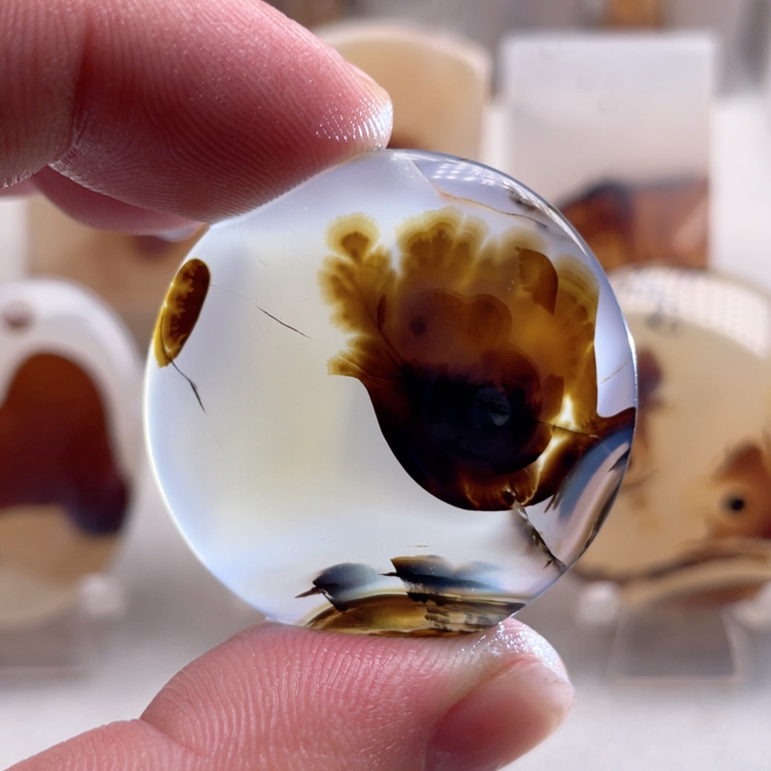 【闪购商品】玛瑙/玉髓颈饰合金