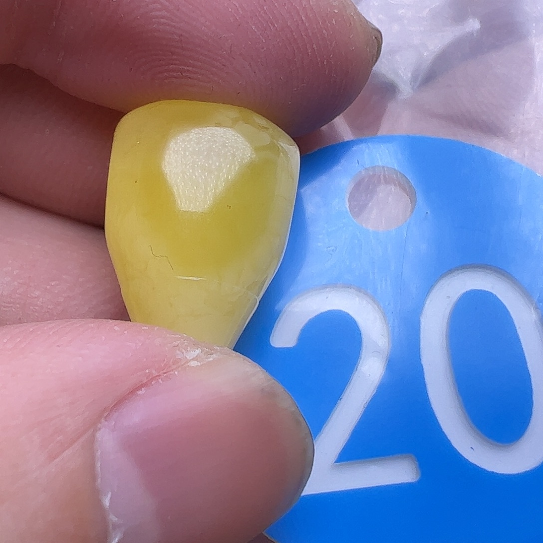 蜜蜡未镶嵌珠宝奇石13.4mm微花粉