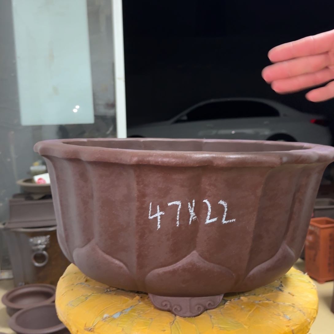 紫砂花盆呜呜呜呜