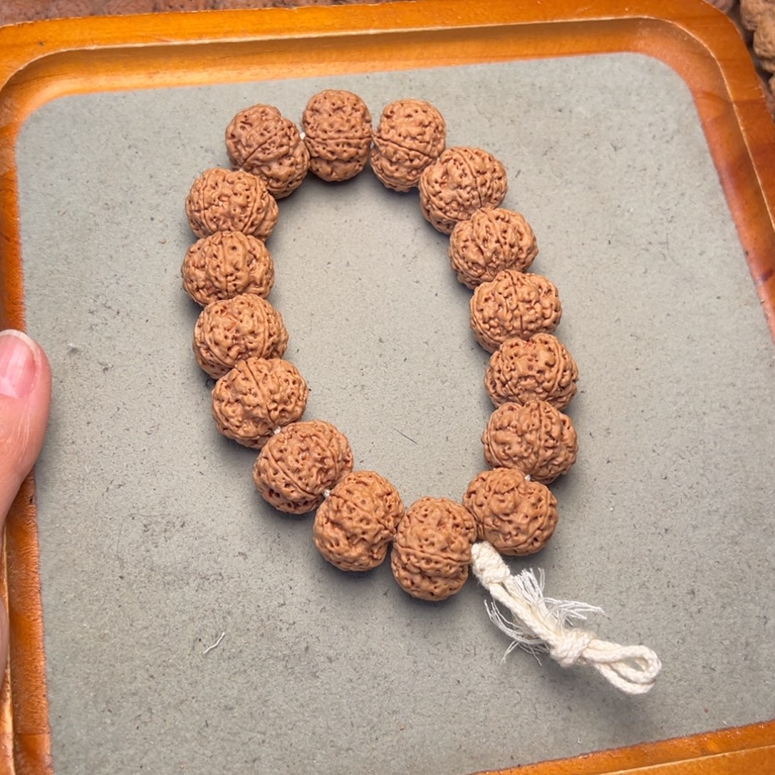 8号金刚菩提梁梅花21