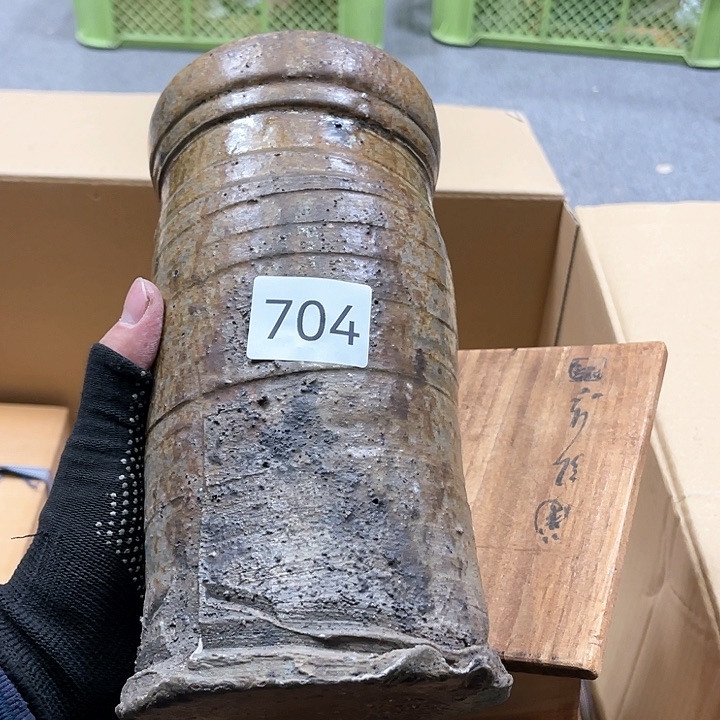 茶宠我们都是好孩子呀打脸好