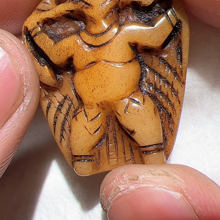 香榧木在这里的时候