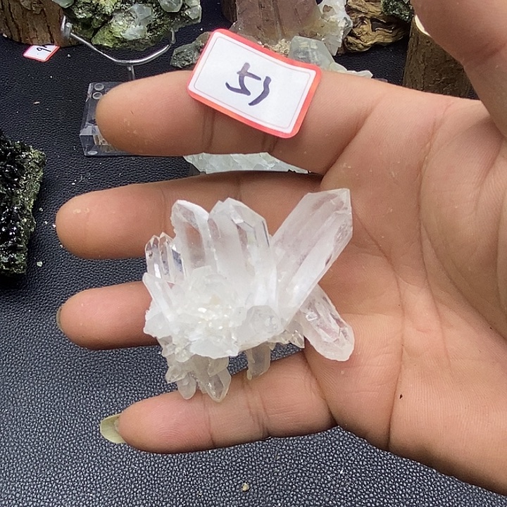 有机玻璃喜马簇53