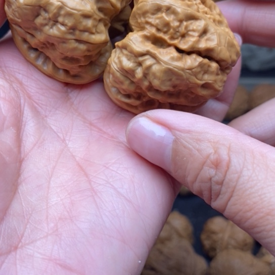 桃核吊坠寒*蛙蛙蛙蛙