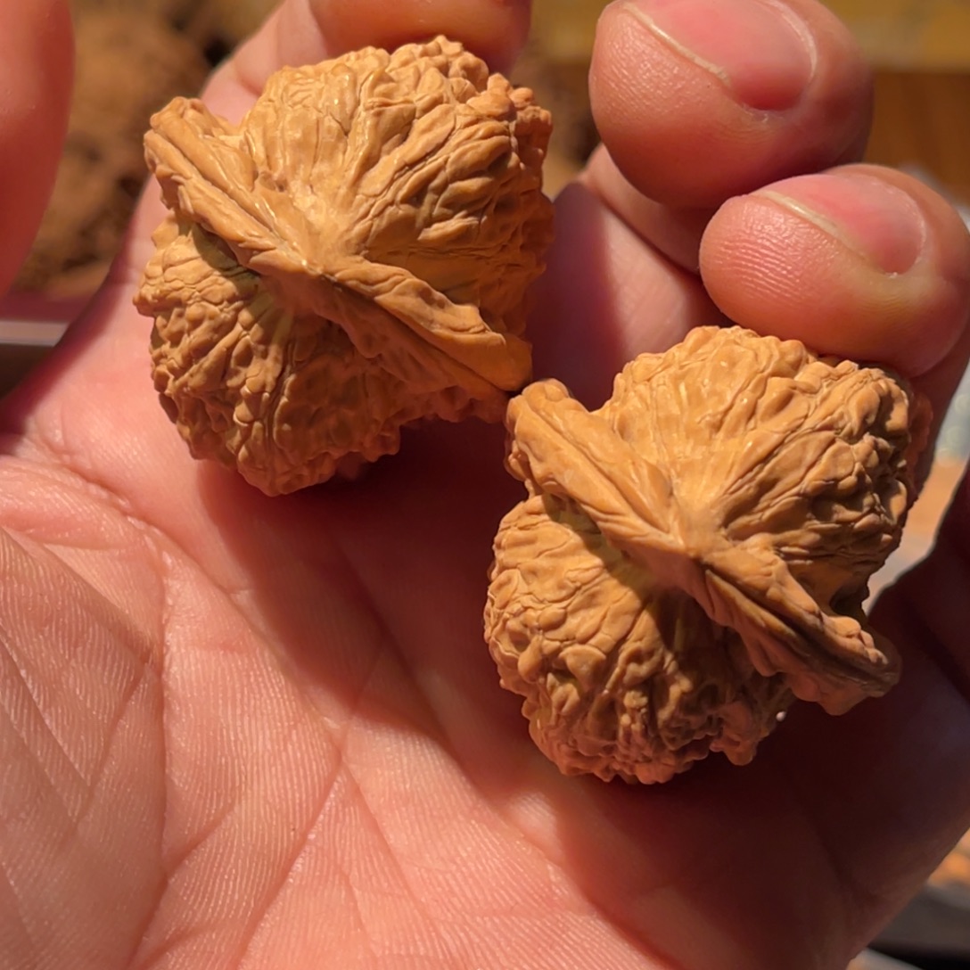 吊坠文玩核桃赤龙练手